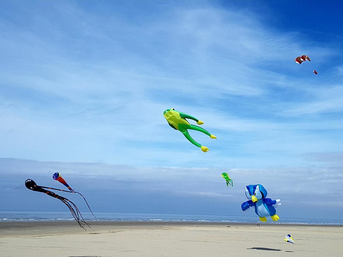 Les Coquillages, 2 Salles De Bain, Emplacement Ideal Berck Eksteriør billede