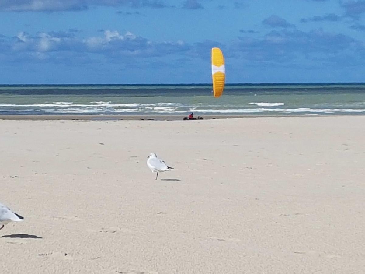 Les Coquillages, 2 Salles De Bain, Emplacement Ideal Berck Eksteriør billede