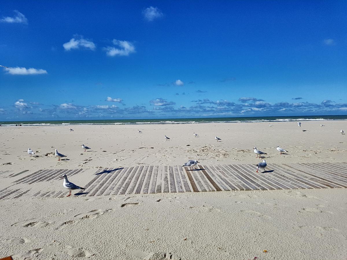 Les Coquillages, 2 Salles De Bain, Emplacement Ideal Berck Eksteriør billede